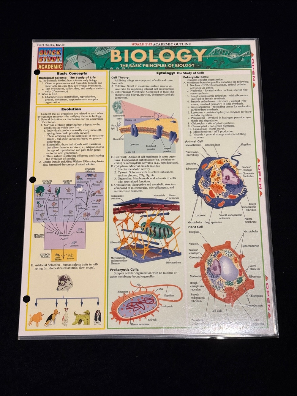 Bar charts, Inc Anatomy Chart and Biology Chart Quick Study Guides - Picture 4 of 6